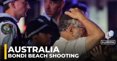 At least 11 killed in Australia beach shooting targeting Jewish event