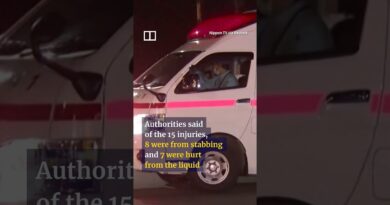 At least 15 injured in knife and chemical attack in Japan
