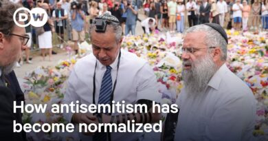 Australia promises tougher gun laws | DW News