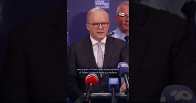 Australian PM: Bondi Beach mass shooting was IS inspired | DW News