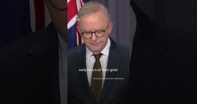 Australian PM declares Sydney shooting a ‘terrorist’ attack targeting Jews  AJ #shorts