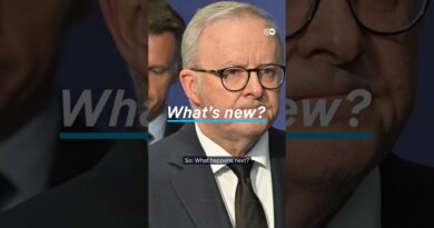 Australia’s gun laws | DW News