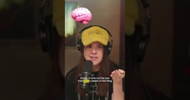 Brains build mental bridges…and demolish them. #shorts