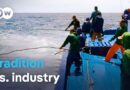 Bullied by the EU? The last pole-and-line fishermen of the Azores | DW Documentary