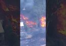 Bushfire destroy homes in Australia’s Central Coast north of Sydney | AJ #shorts