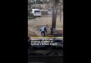 Bystander disarms Bondi Beach gunman during mass shooting in Sydney | AJ#shorts