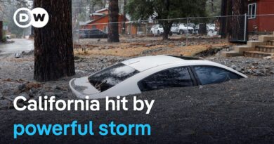 California braces for more extreme weather | DW News