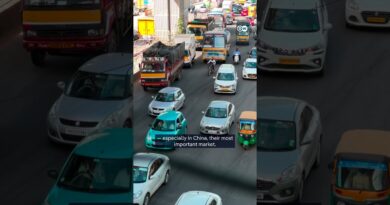 Can India save the German automotive industry? | DW News