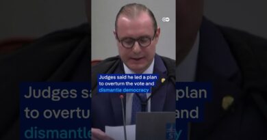 Chaos in Congress: Brazil erupts over Bolsonaro sentence vote | DW News