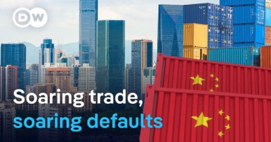 China’s biggest economic contradictions | DW News