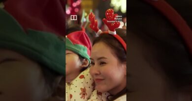 Cities across Asia light up for Christmas