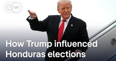 Conservative candidate Nasray Asfura leads in Honduras elections | DW News