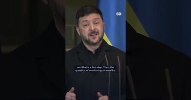 Could Ukraine see some form of peace before Christmas? | DW News