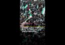 Crowds gather in Hama, Syria, to celebrate one year of liberation | AJ #shorts