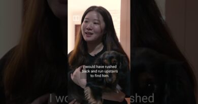 Dozens of pets still missing after deadly Tai Po blaze