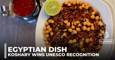 Egypt’s national dish Koshary added to UNESCO intangible heritage list