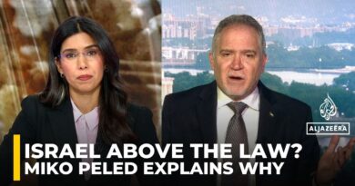 Ending Palestinian suffering requires dismantling the apartheid system: Miko Peled