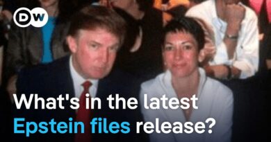 Epstein-related documents show Trump flew more often with Epstein’s jet than previously reported