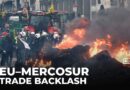 EU-Mercosur trade deal delayed amid farmer and environmental opposition