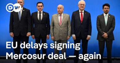 EU-Mercosur trade deal: Who profits — and whose livelihoods could it undercut? | DW News