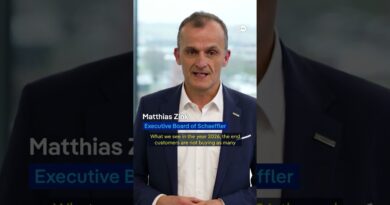 EU softens 2035 combustion engine ban to relief of auto industry | DW News