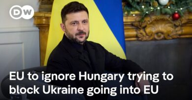 EU will move Ukraine membership forward despite Hungary veto | DW News