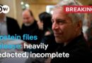 Expert: Release of heavily redacted Epstein files a ‘biased political hit-job’ | DW News