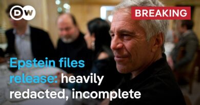 Expert: Release of heavily redacted Epstein files a ‘biased political hit-job’ | DW News