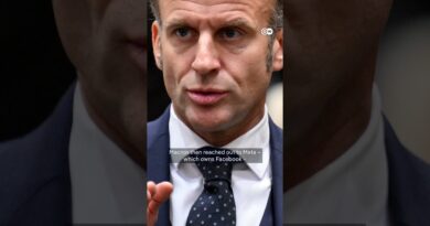 Fake video claiming coup in France | DW News