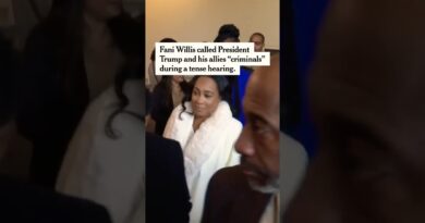 Fani Willis Calls Trump and Allies ‘Criminals’ at Georgia Senate Hearing