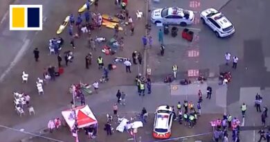 Father, son alleged gunmen in Bondi Beach shooting