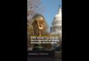 FIFA World Cup draw to be announced as trophy arrives in Washington | #ajshorts