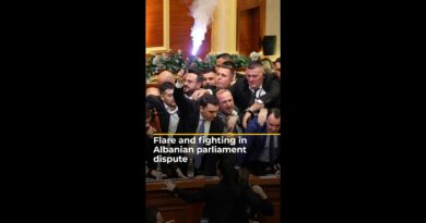 Flare and fighting in Albanian parliament dispute | #ajshorts