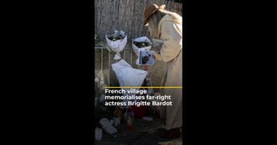 French village memorialises far-right actress Brigitte Bardot | #ajshorts