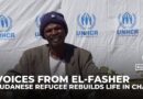 From el-Fasher to Chad: Refugee’s business shows resilience after fleeing Sudan’s war