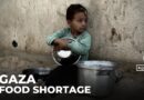 Gaza aid crisis deepens as food centres shut down