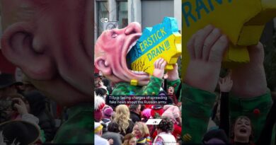 German artist faces criminal charges in Russia | DW News