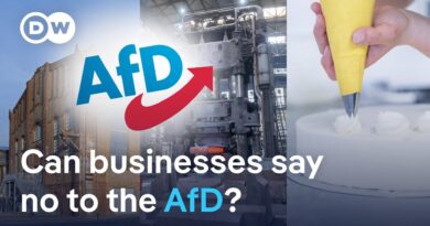 German companies face far-right dilemma | DW News