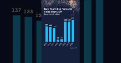 Germany’s New Year fireworks: tradition, chaos and the cost | DW News