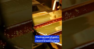 #Gold is at a record high. Here’s the real #price.