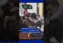 Hair-pulling brawl in Mexico City’s Congress | DW News