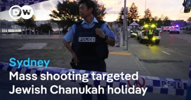Has the Australian government ignored warnings of antisemitic terror attacks? | DW News