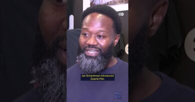 Has the Netherland’s most controversial tradition been eradicated? | DW News