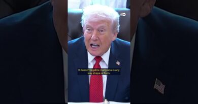 High hopes for US cannabis businesses | DW News