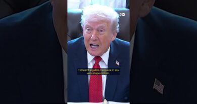 High hopes for US cannabis businesses | DW News