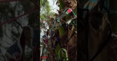 Hong Kong residents demand answers after deadly apartment fire | AJ #shorts