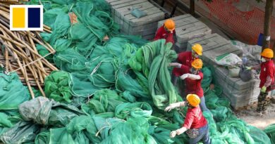 Hong Kong scaffold net sample ignites despite passing safety standards, Post test finds