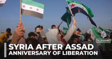 Hope, flags, fireworks as Syria starts to celebrate a year without al-Assad