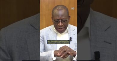 How did Benin’s coup attempt unfold? | DW News