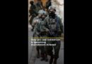 How pro-war extremism is becoming mainstream in Israel | AJ #shorts